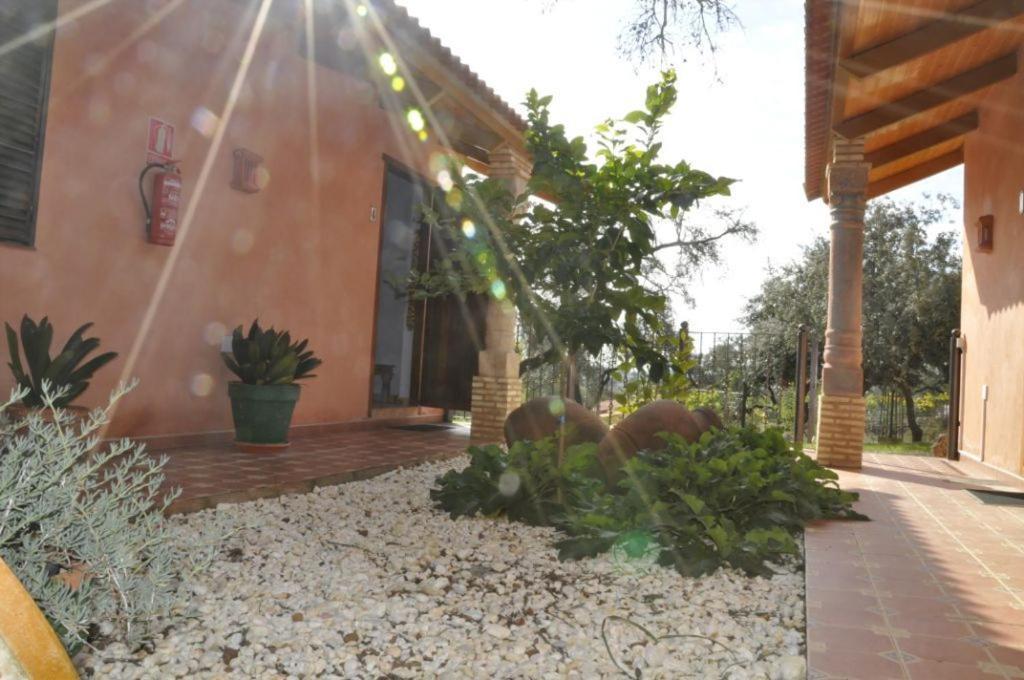 Villa Cortijo Zalamea *