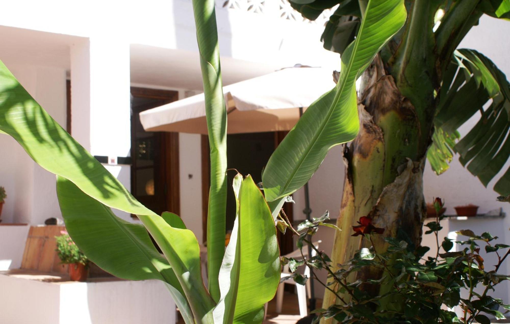 Casa Creativa