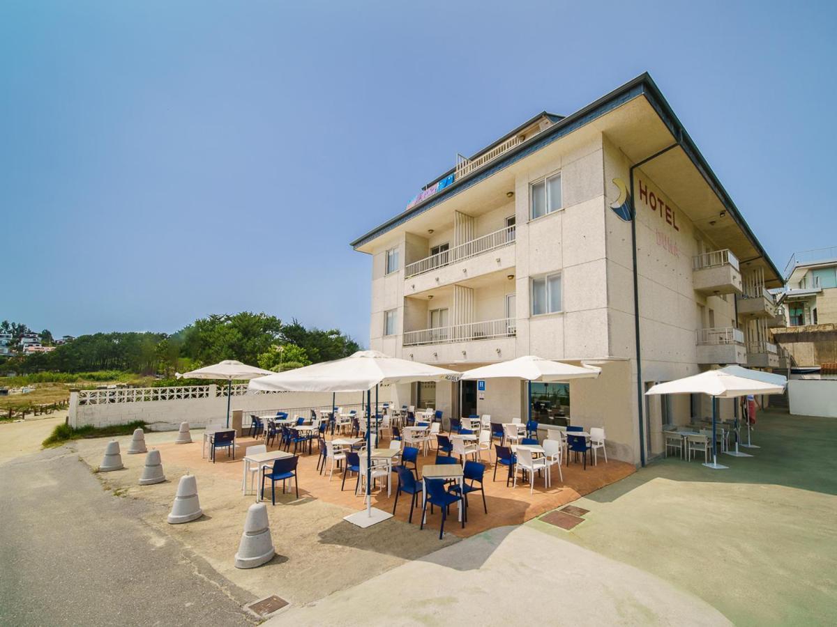 Duna 2* Portonovo
