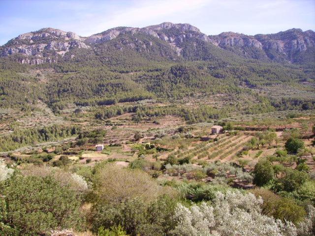 Ca Les Barberes Casa rural Paüls