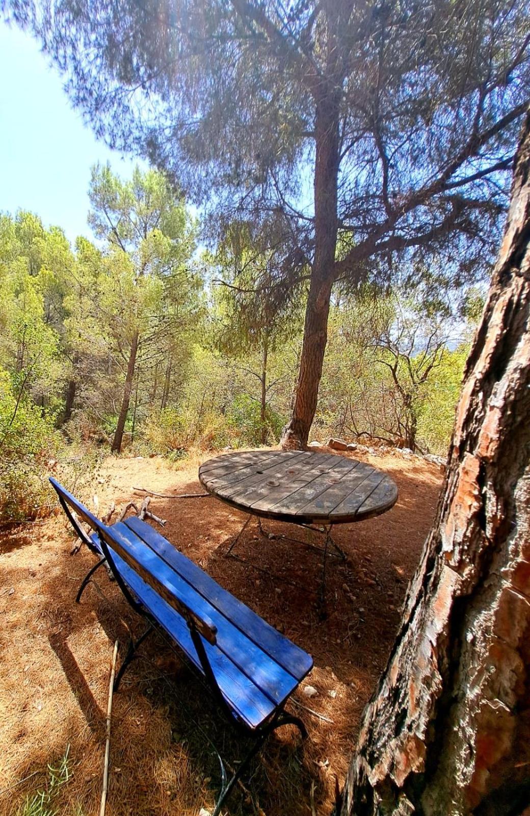 Casa Del Paso Lodge *