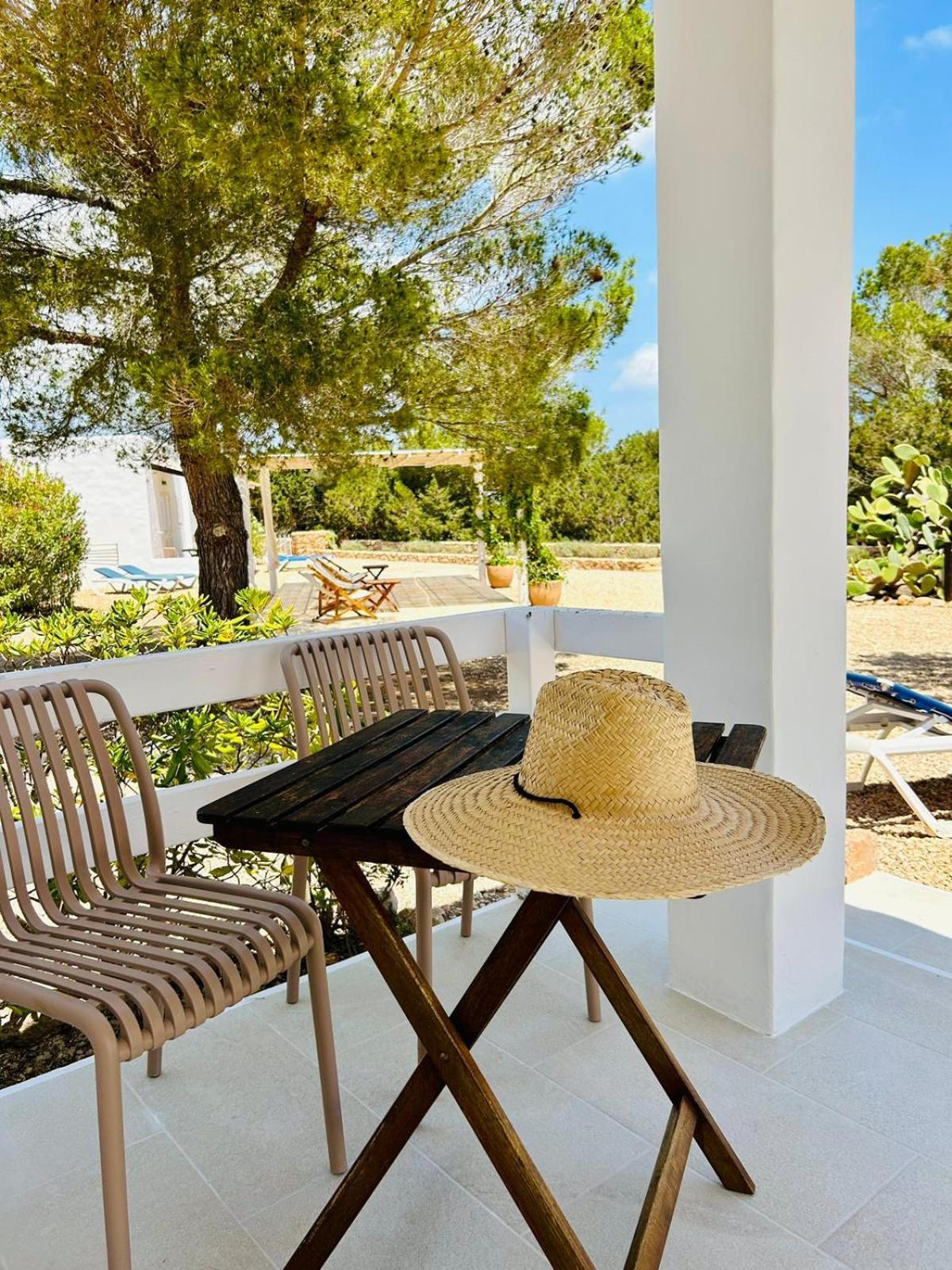 Chumbera Formentera * Cala Saona