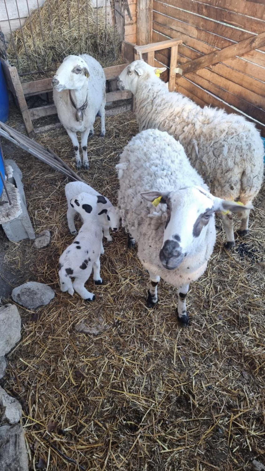 Casa rural Lo Cel De *