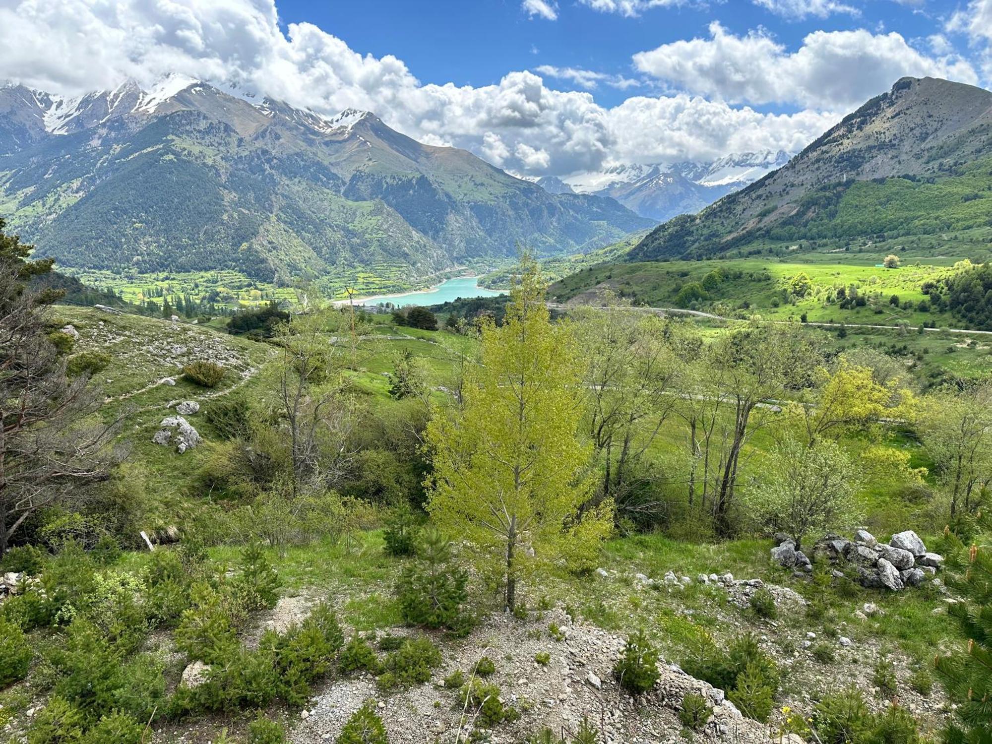 Súper Céntrico, Con Vistas A Pistas Y Wifi