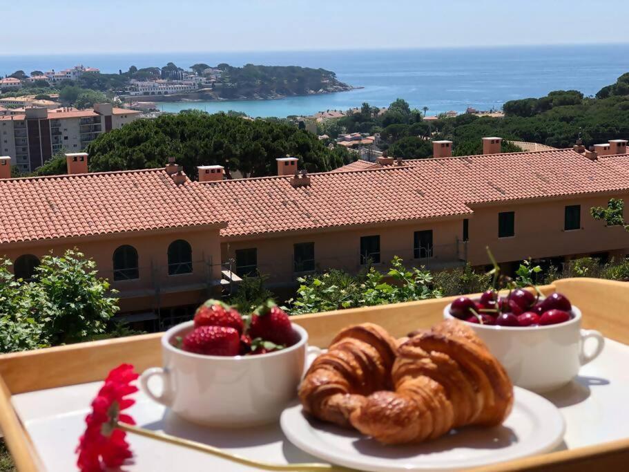 Sagaro Sea Housegardenbarbacue8 Paxsea View Sant Feliu de Guixols