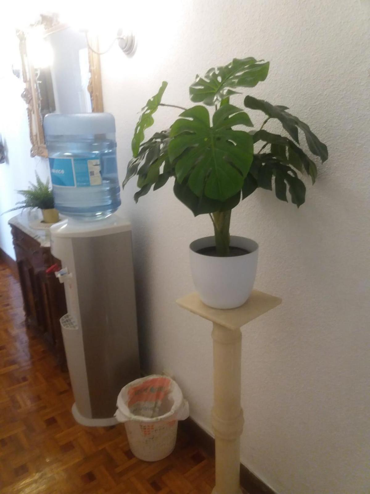 Homestay Habitacion Cookie En Chamberi Madrid