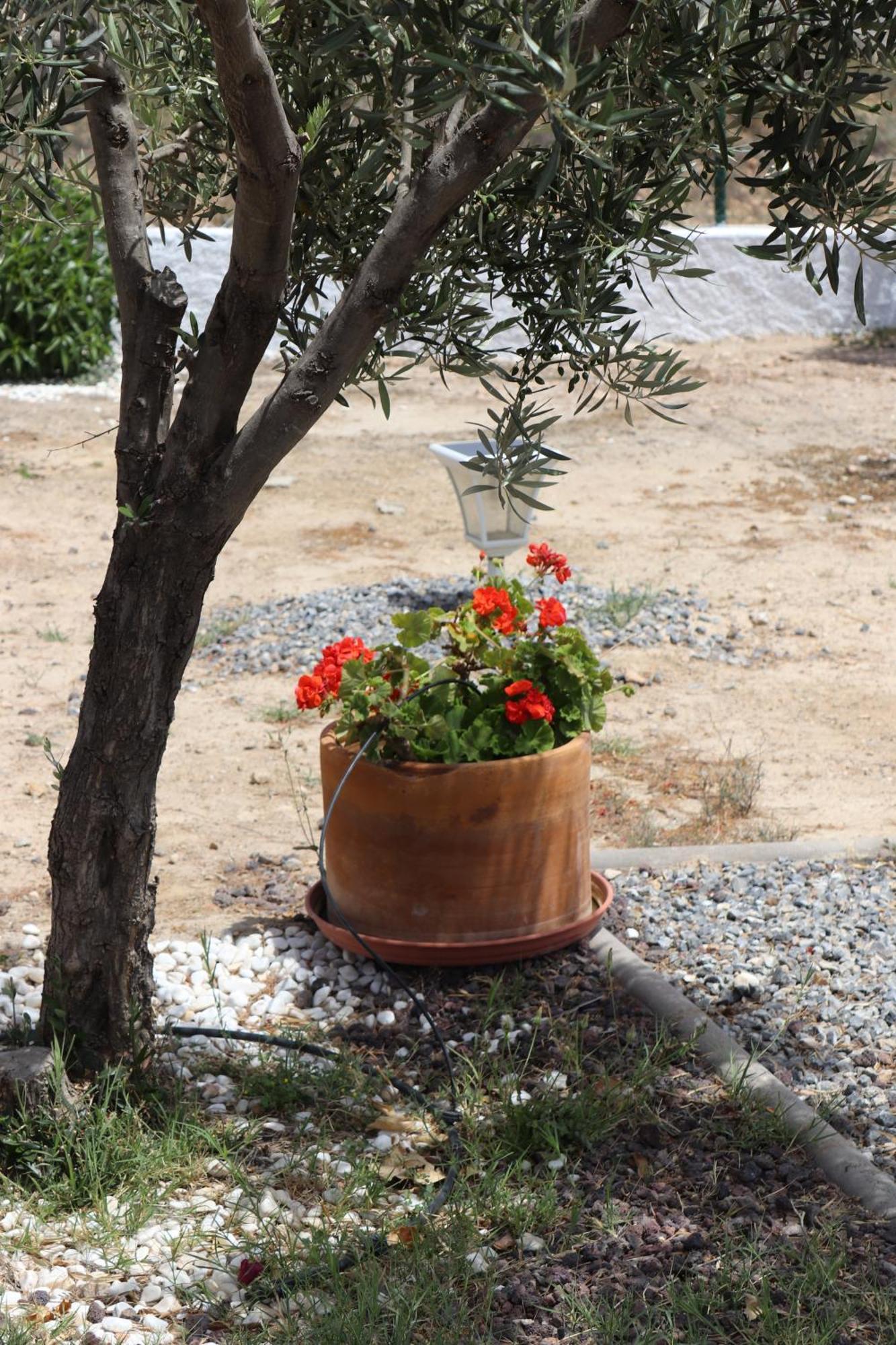 Cortijo El Pinar 1 *