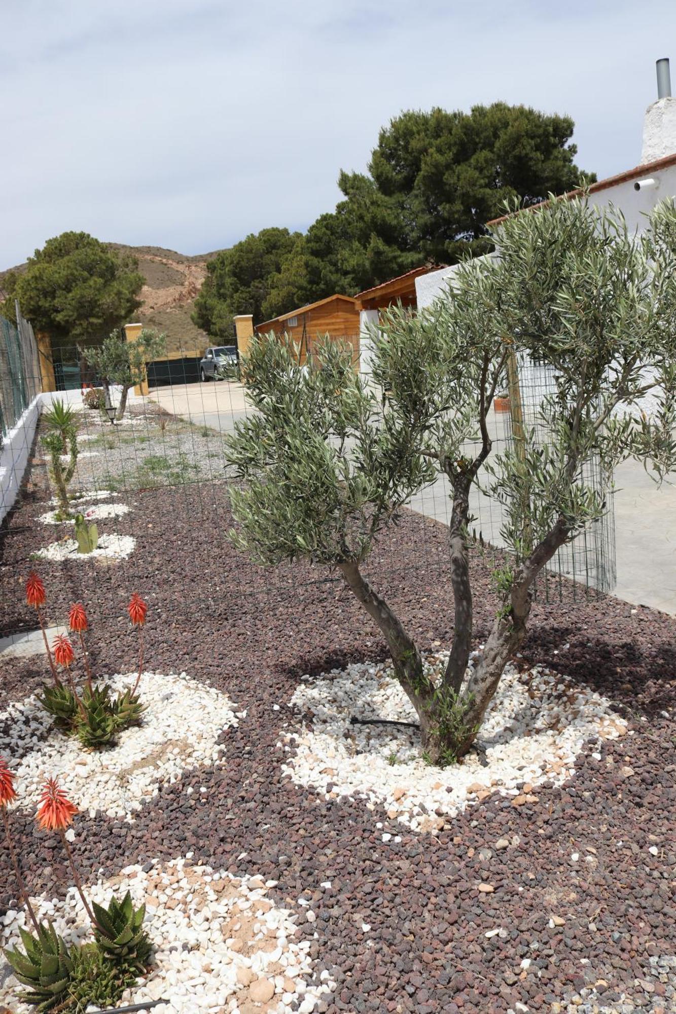 Cortijo El Pinar 1 * Nijar