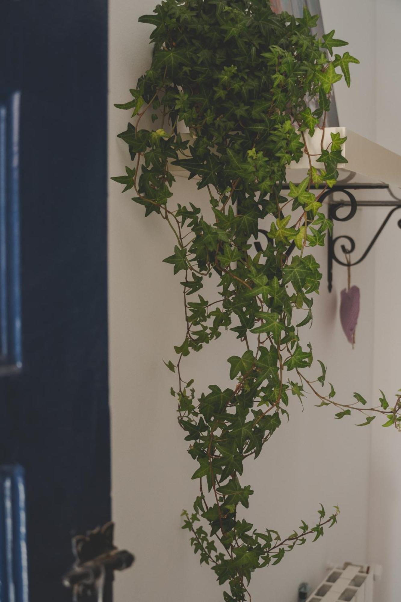Сasa de vacaciones Casa Con Encanto Corbera de Llobregat