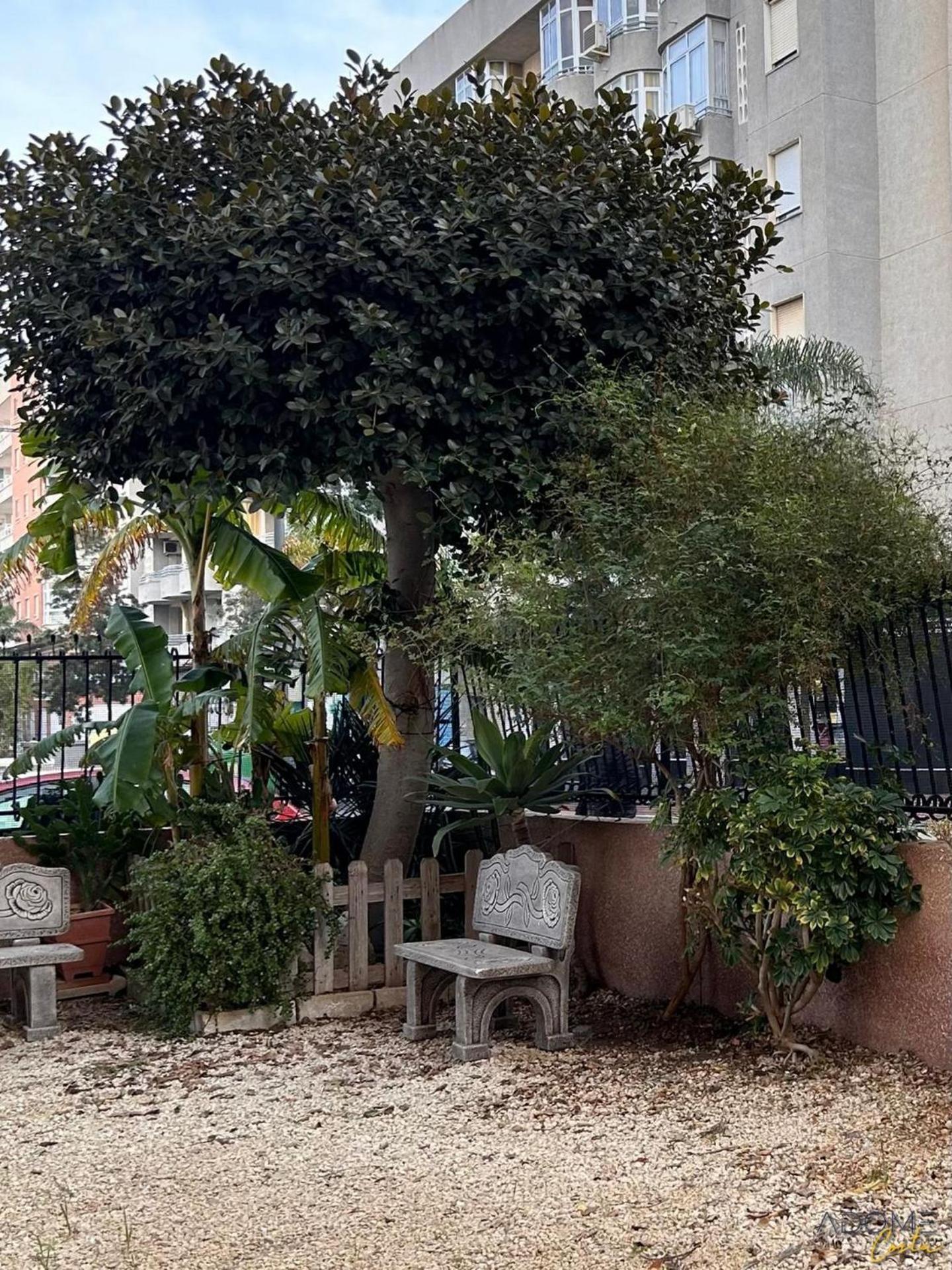 Apartamento Adome Primavera Santa Pola