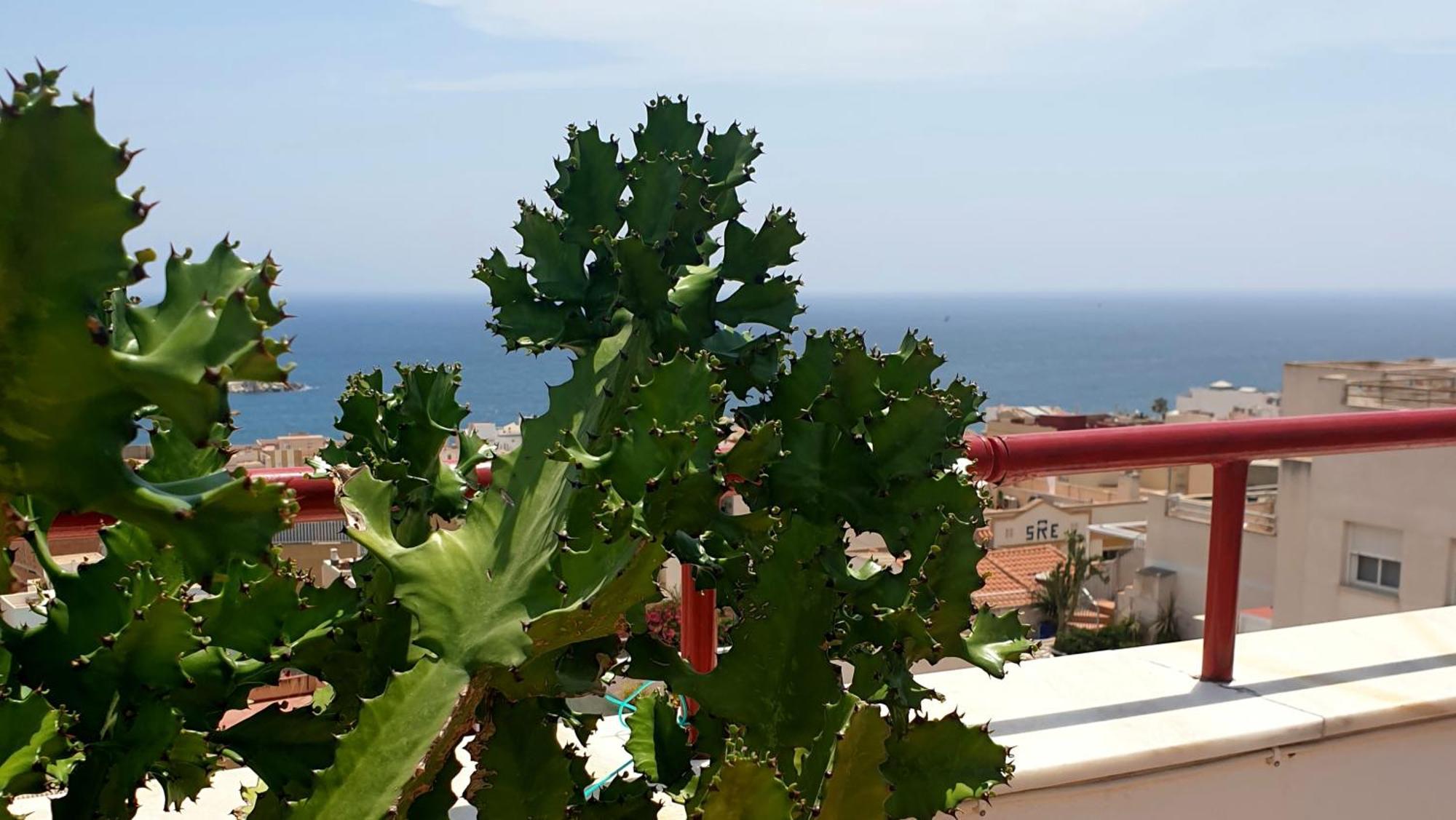 Super Terrasse Vue Panoramique Mer Apartamento Garrucha