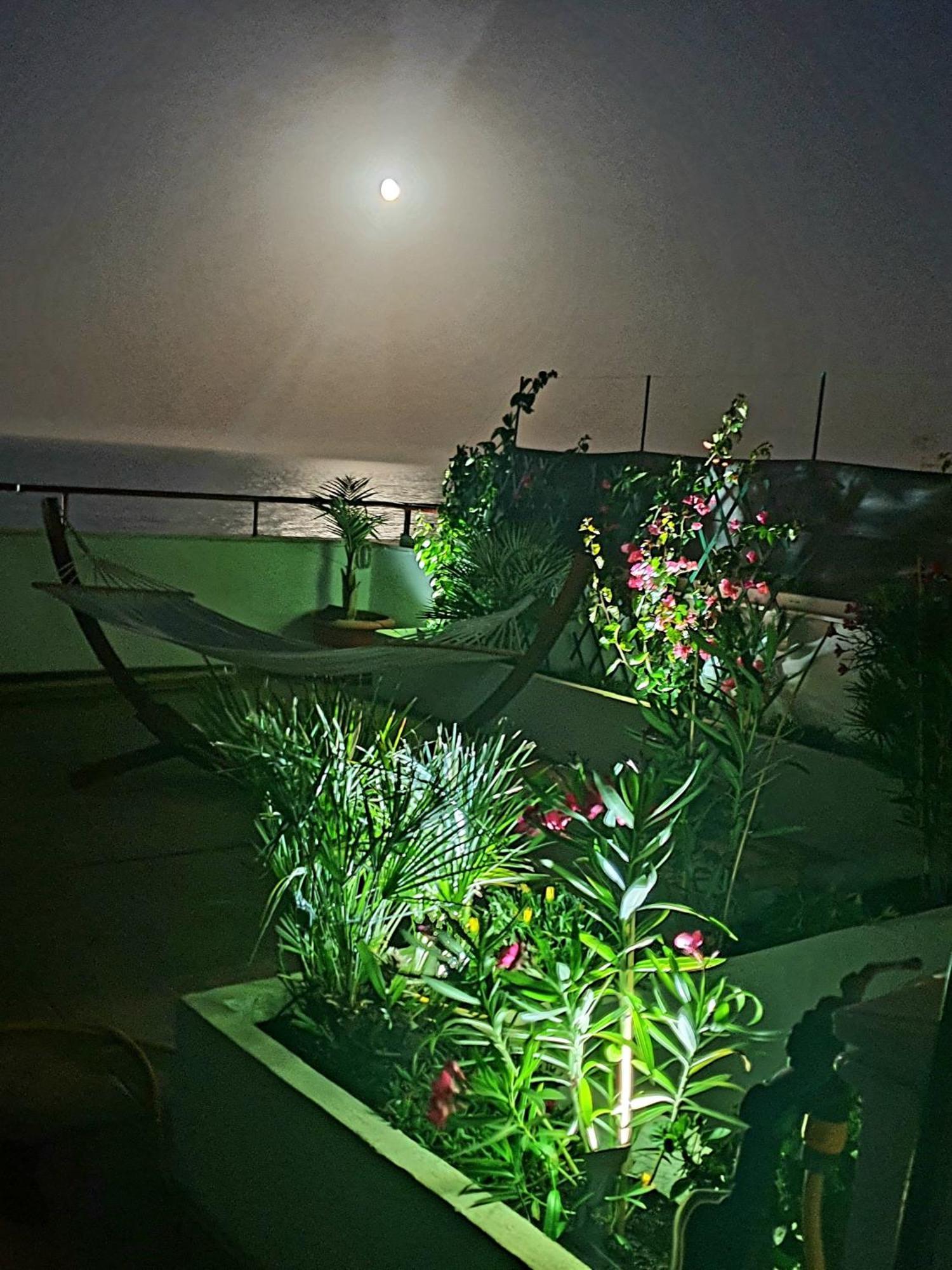Super Terrasse Vue Panoramique Mer