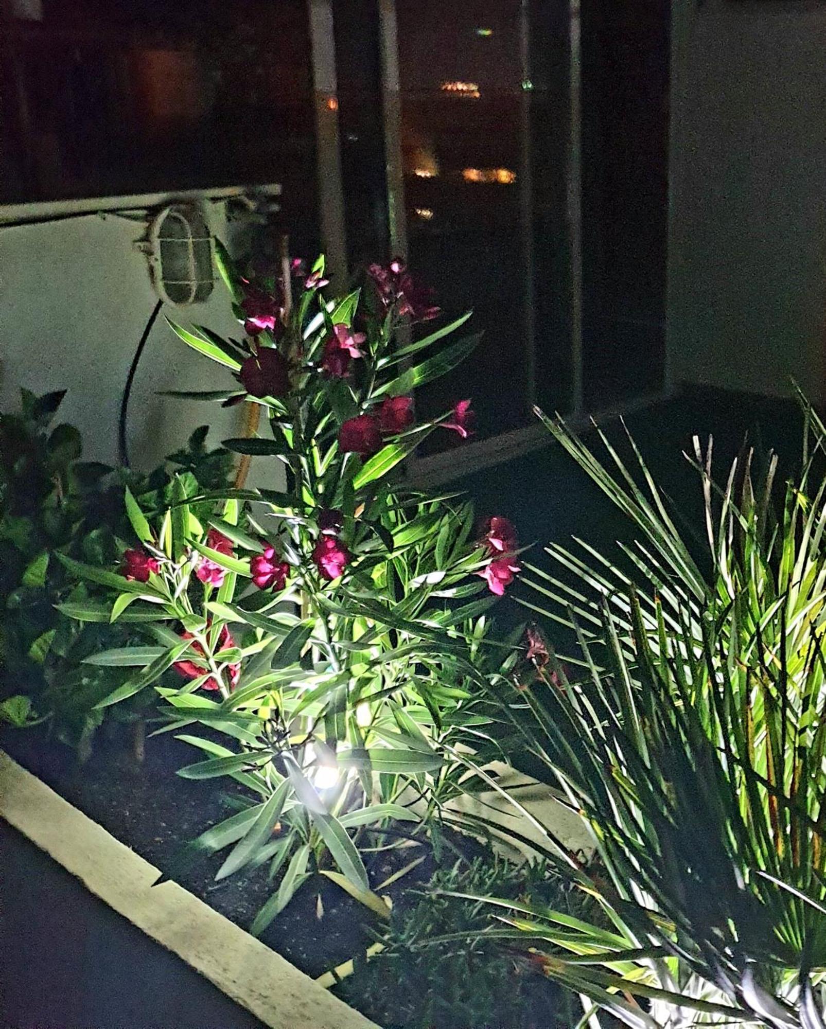 Apartamento Super Terrasse Vue Panoramique Mer Garrucha