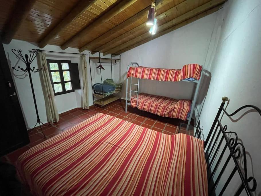 Privada Belen * Pruna