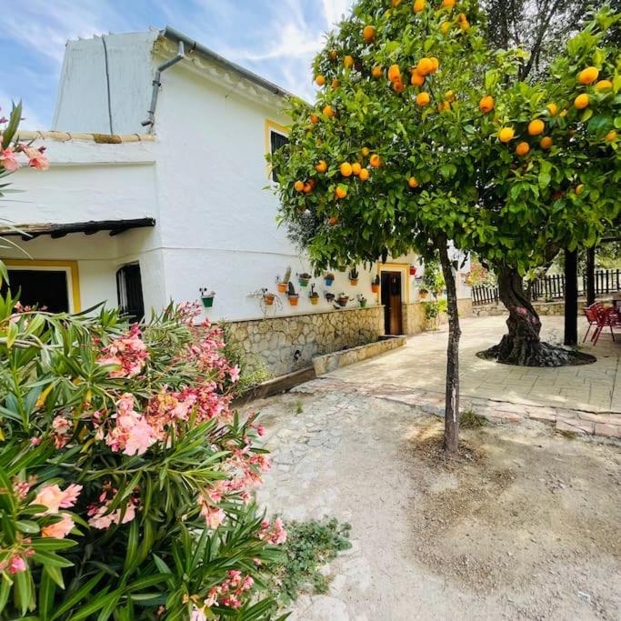 Privada Belen Pruna
