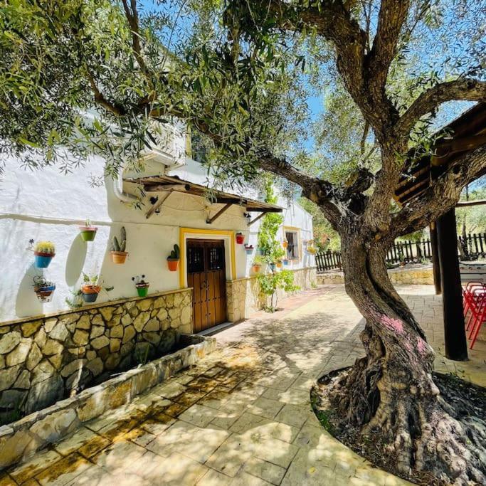 Privada Belen
