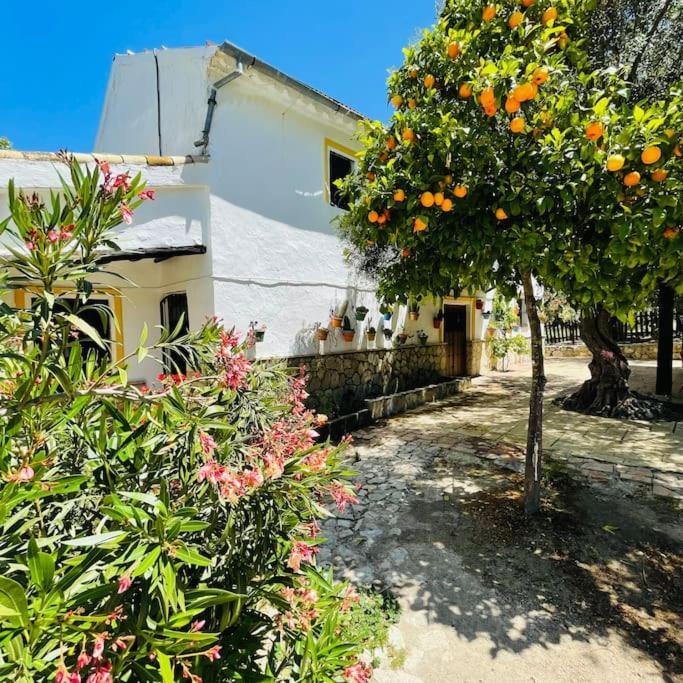 Privada Belen * Pruna