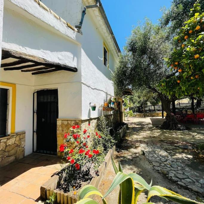 Privada Belen * Pruna