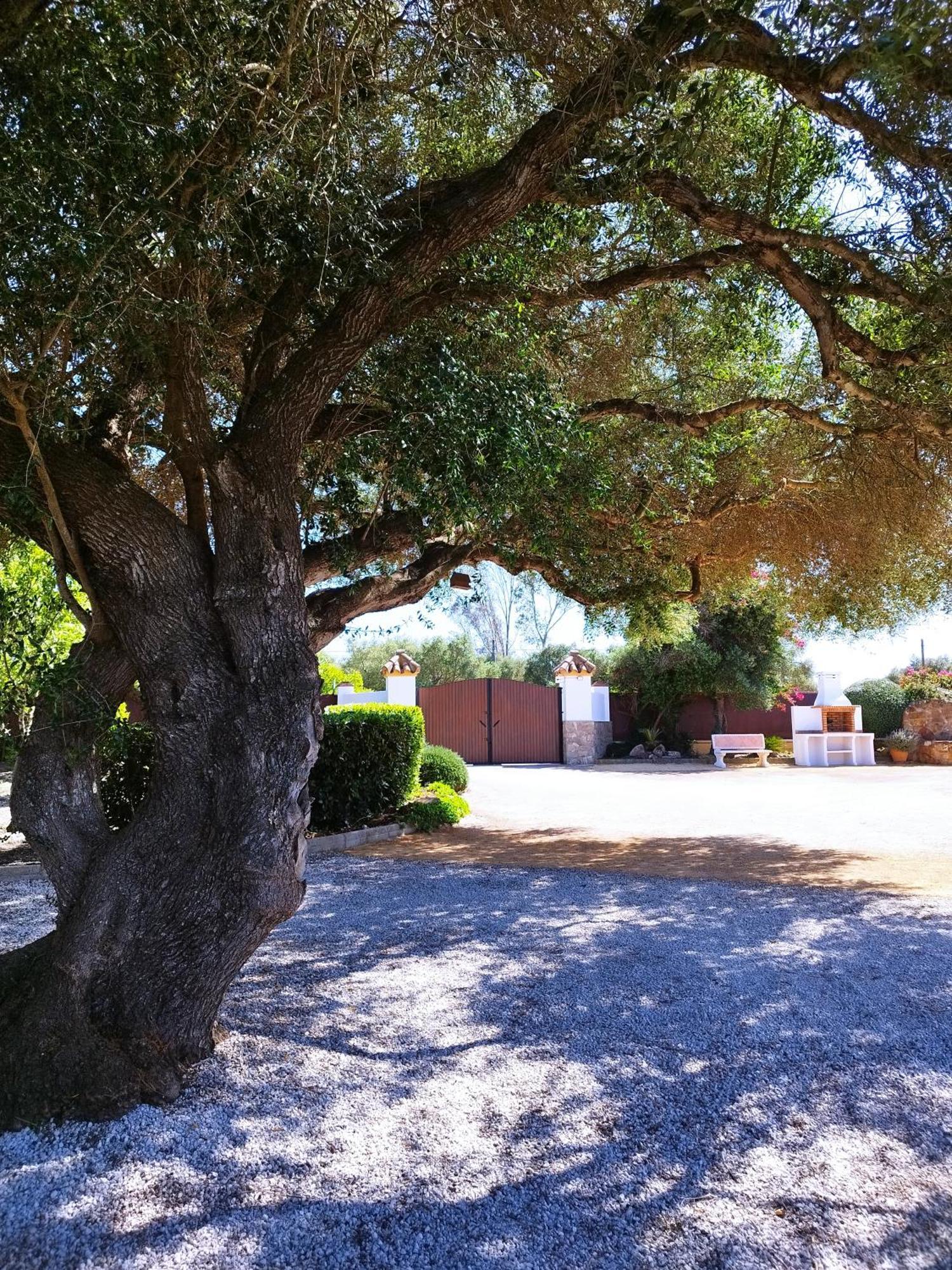 Holiday home Vivienda Rural Madronos Malcocinado (Andalucia)