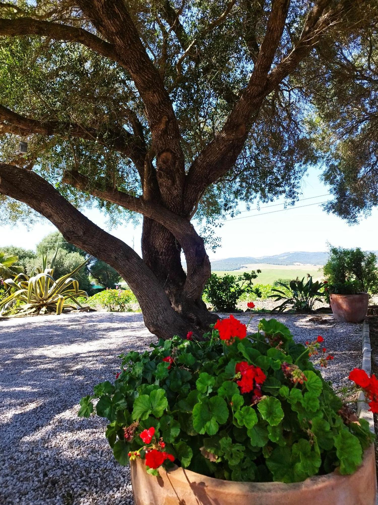 Holiday home Vivienda Rural Madronos *