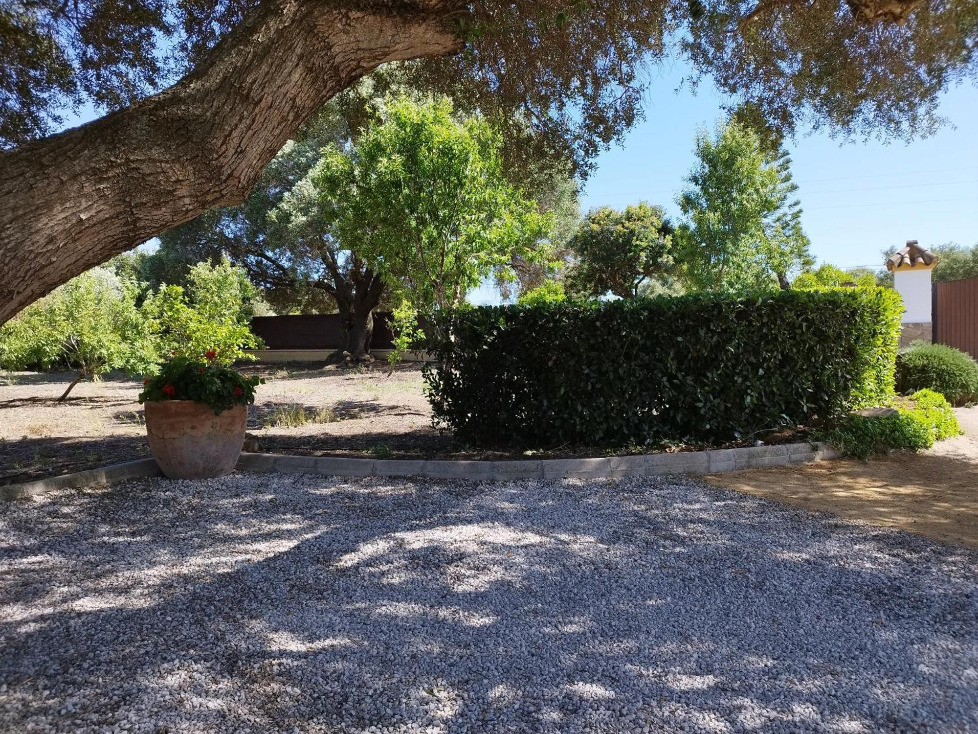 Vivienda Rural Madronos Malcocinado (Andalucia)