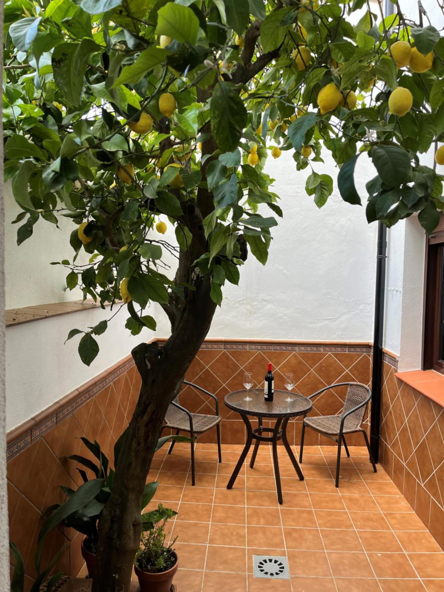 Casa Arao