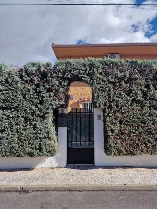 Primera Planta Completa, Apartamento