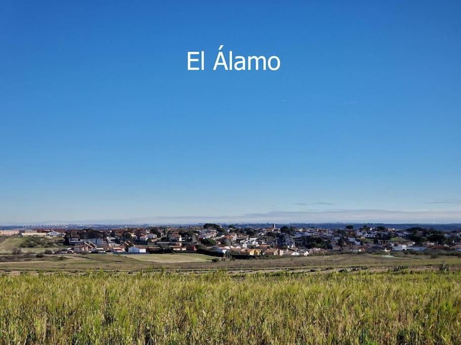 Primera Planta Completa, * El Álamo