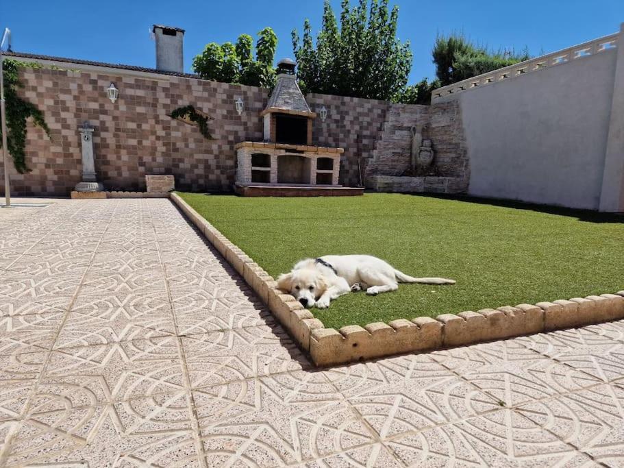 Primera Planta Completa, * El Álamo
