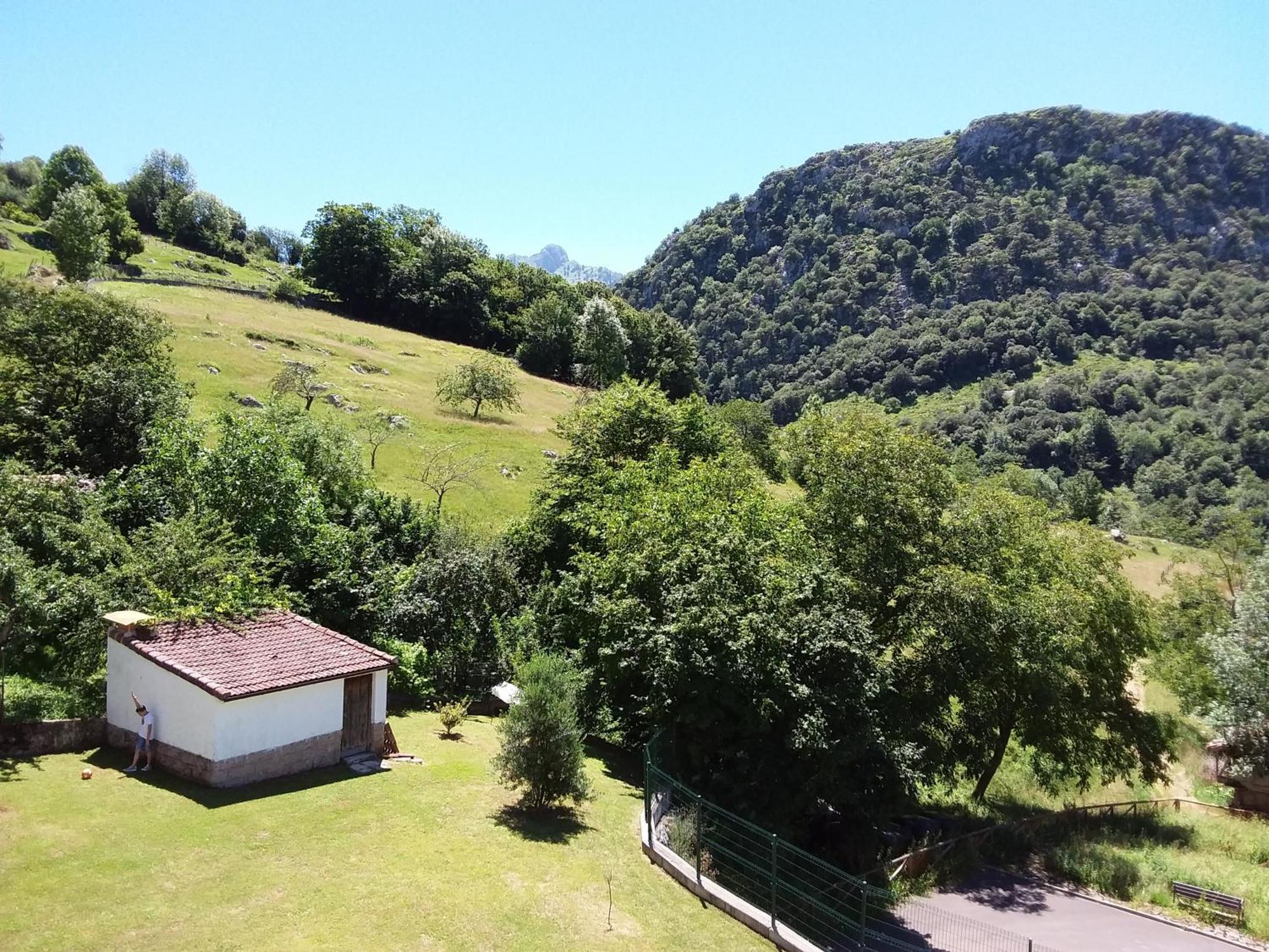 Los Pisos De Pin Carrena de Cabrales