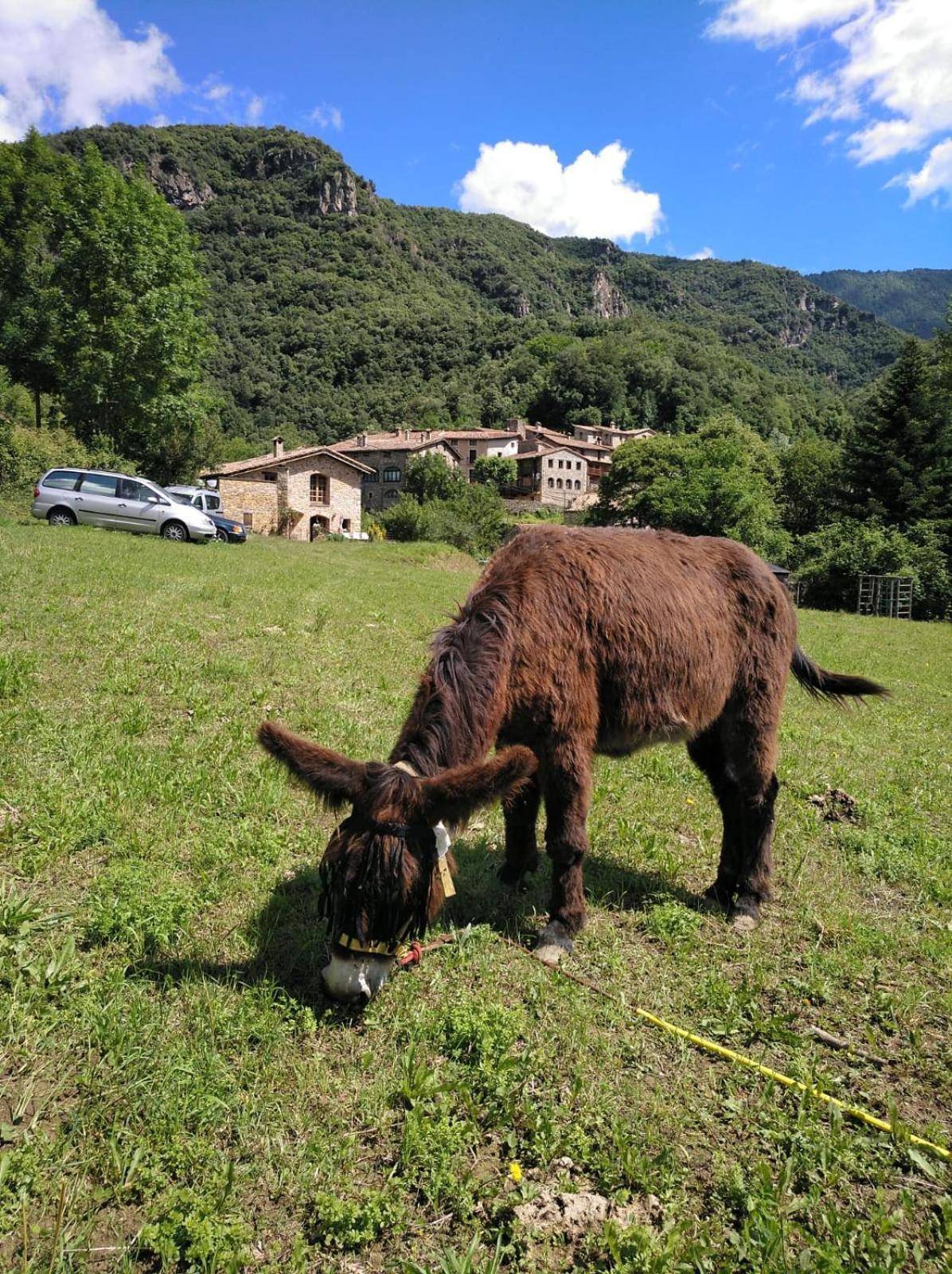 Mas La Cabanya Xalet De Muntanya Chalet