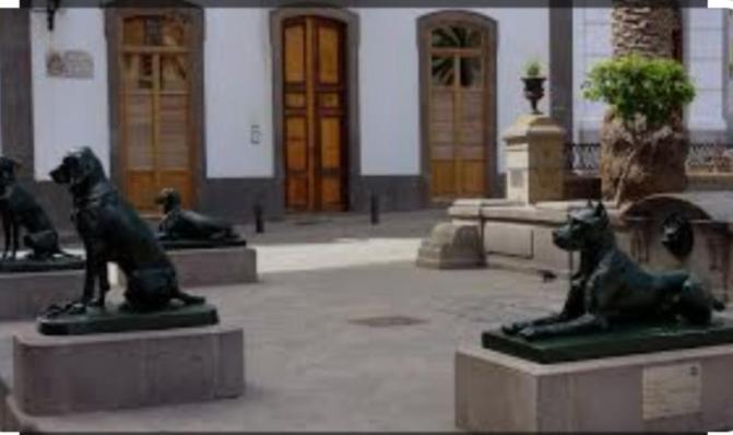 Casa Colonial Vegueta Apartamento *