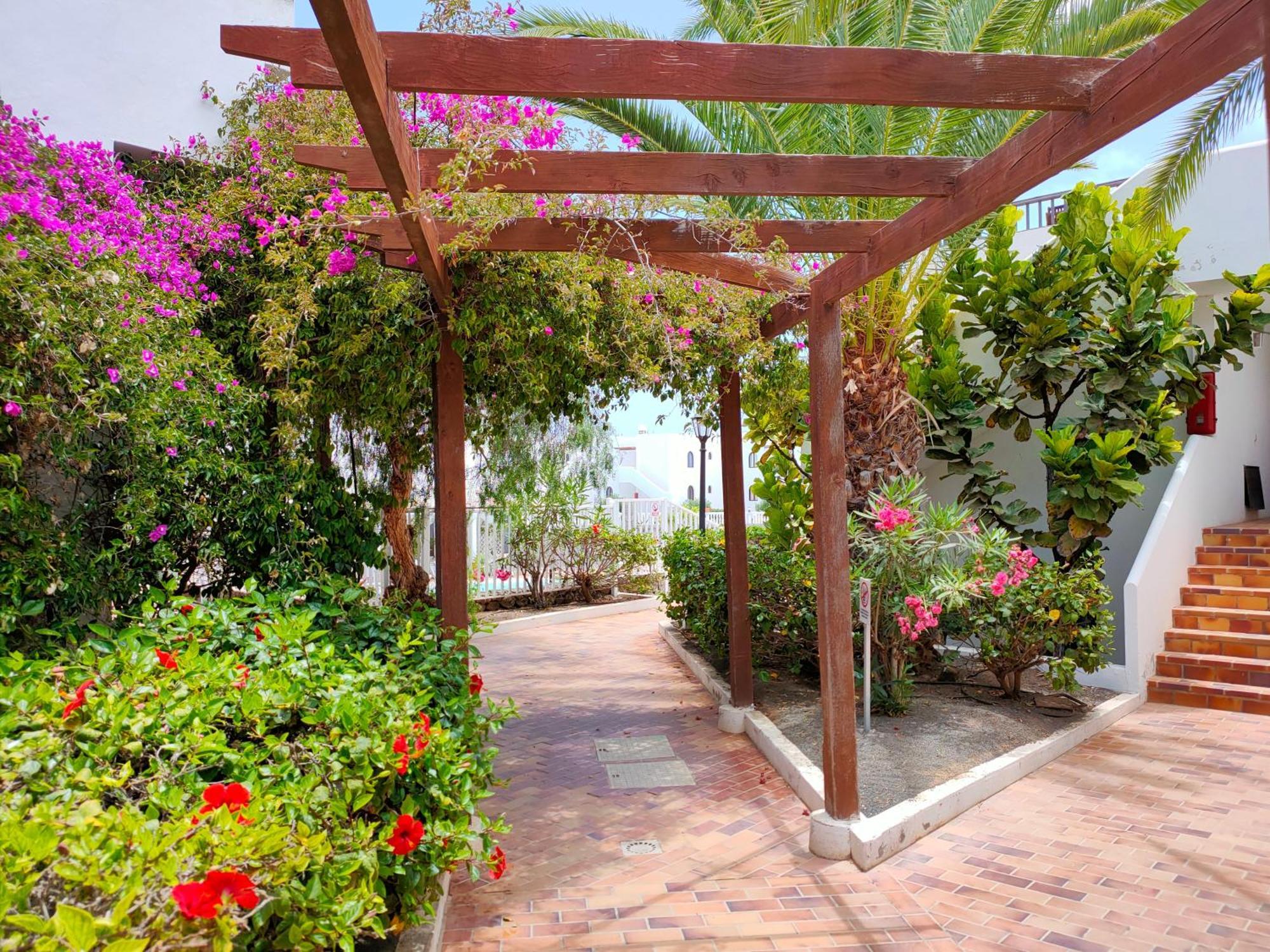 Apartamento Flor De Cactus *