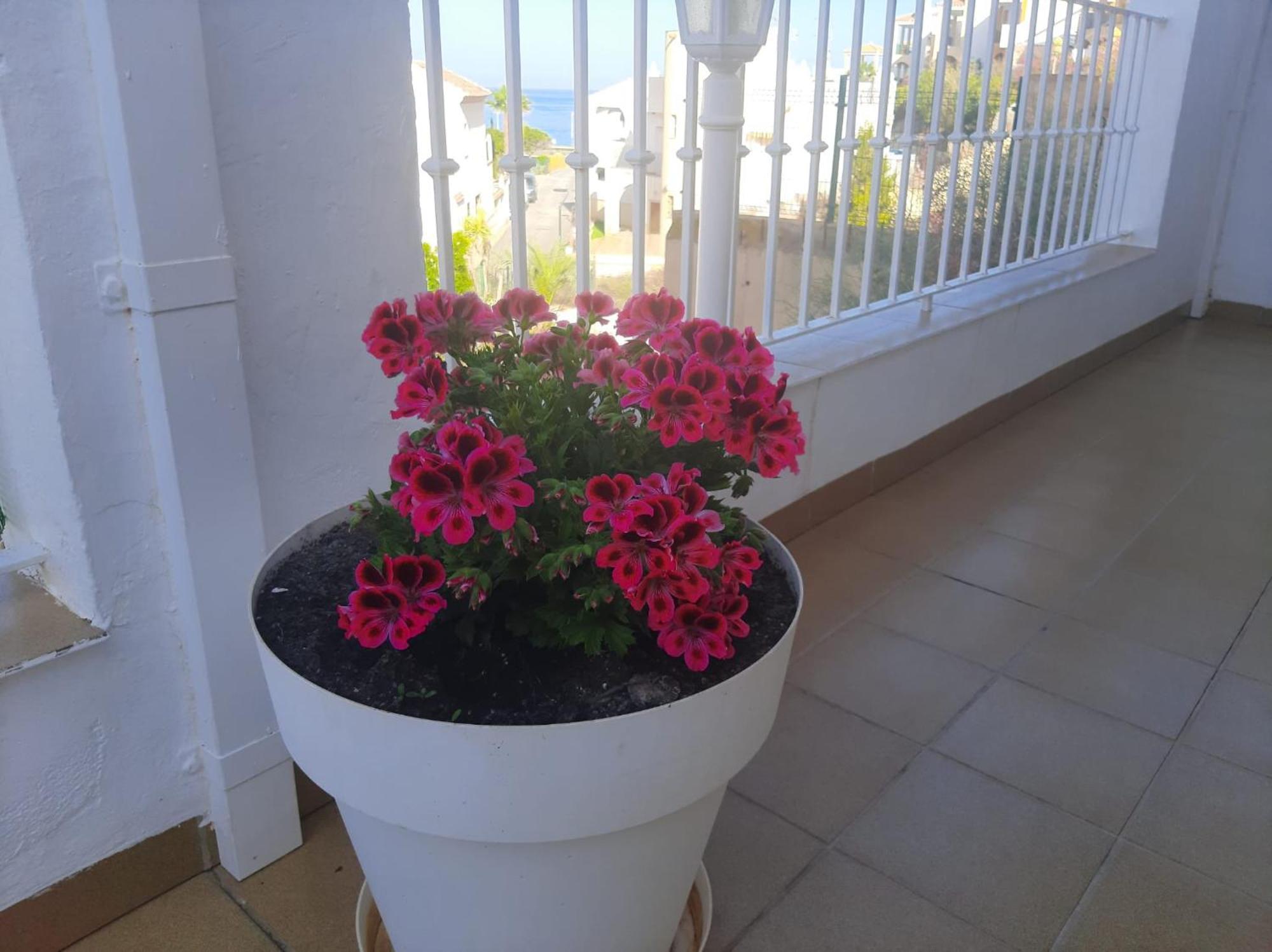 Gemelas De Terreros 1 *