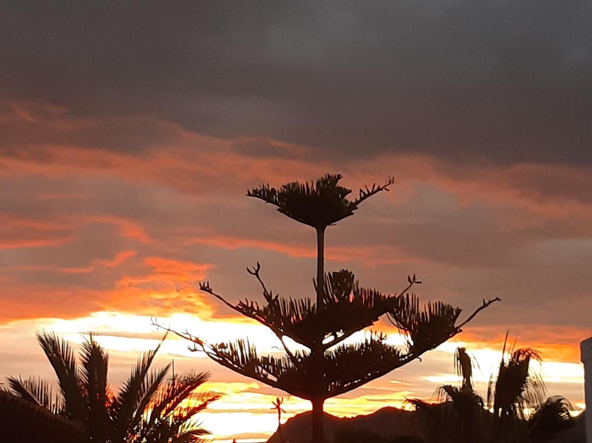 Gemelas De Terreros 1