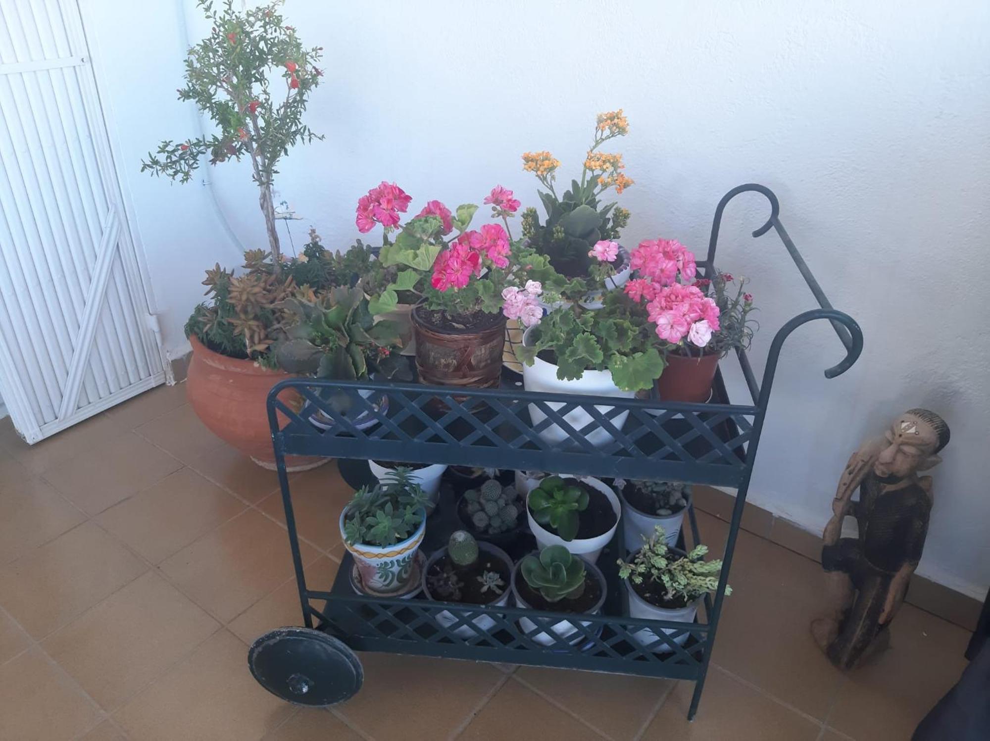 Gemelas De Terreros 1 * San Juan De Los Terreros