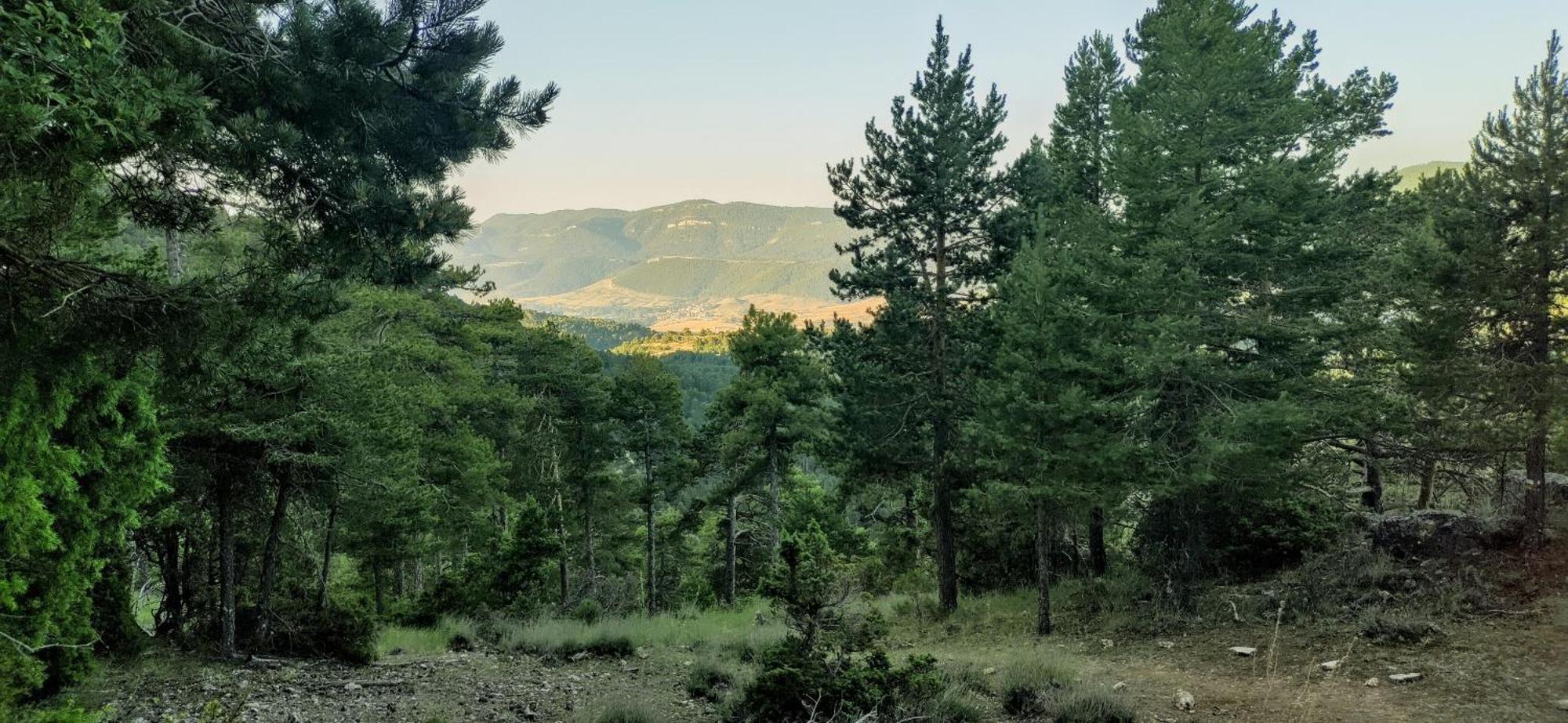 Сasa de vacaciones Rural Hacheros Tragacete