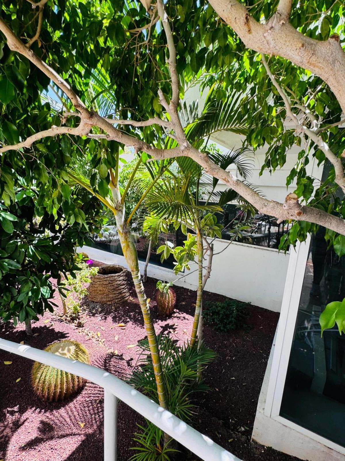 Jameo De Agua, Americas Sea View Apartamento
