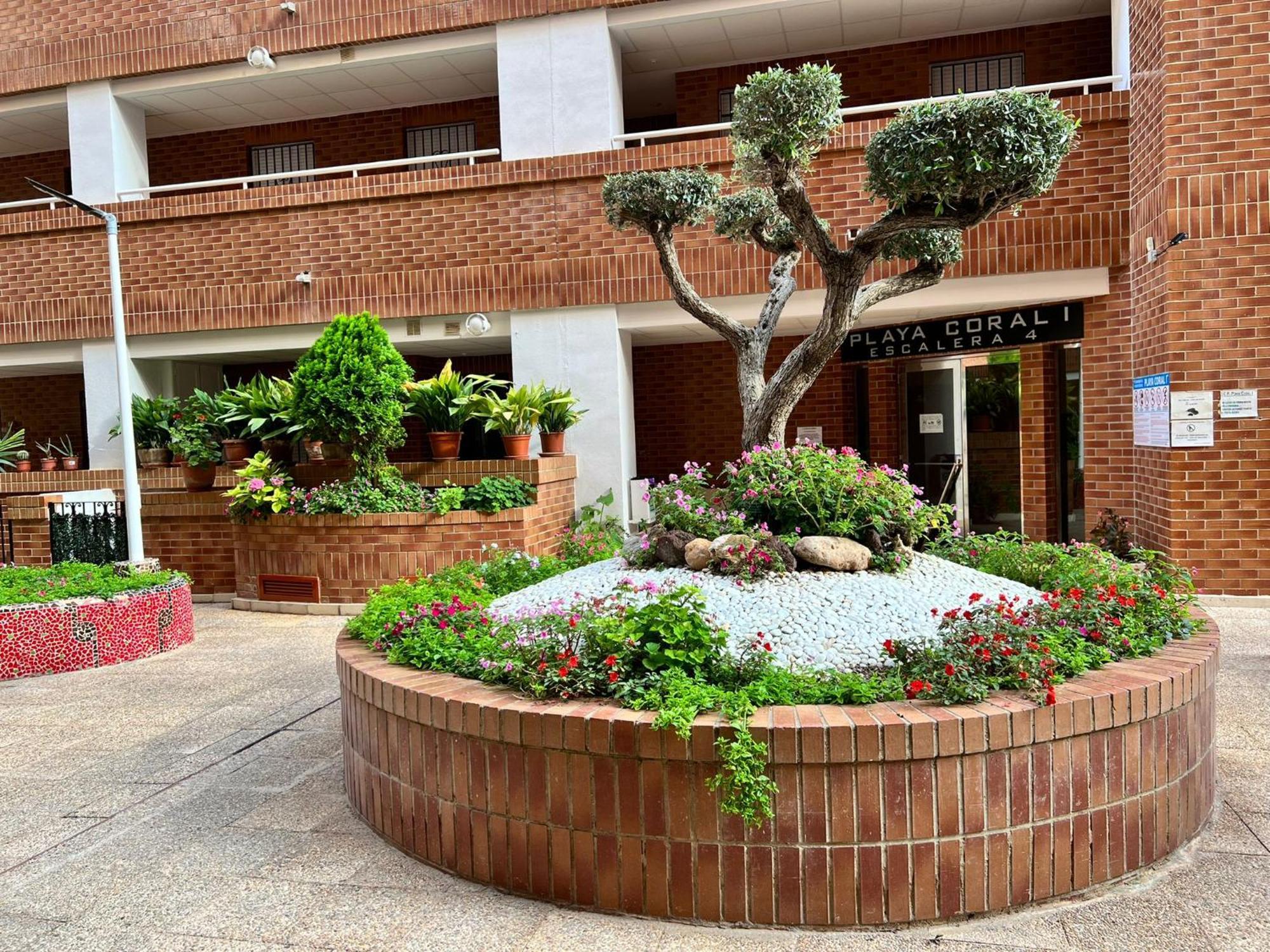 Apartamento Playa Coral I Nº 1083 Oropesa del Mar