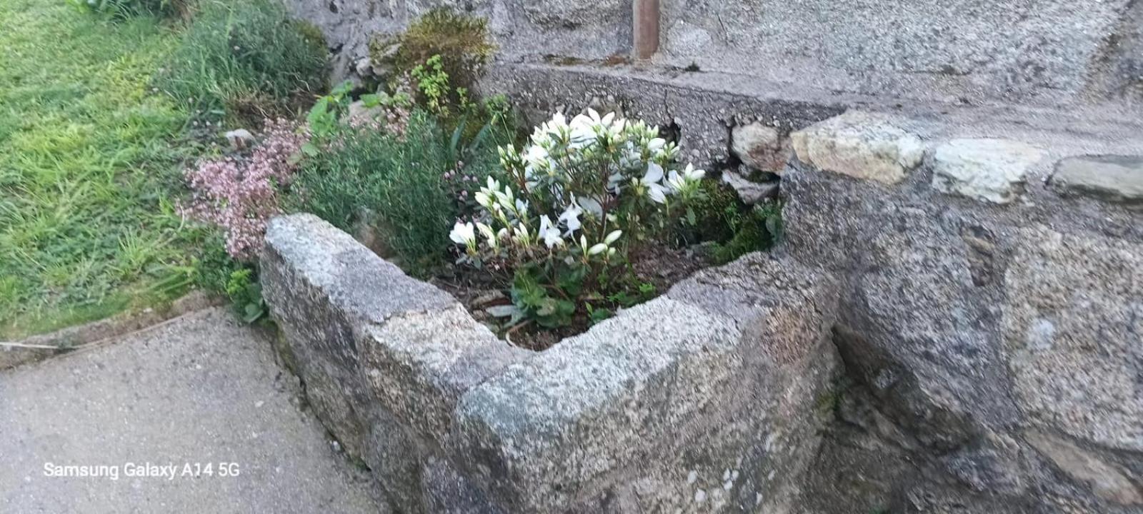 Сasa de vacaciones Casa Da Fonte Pontevedra