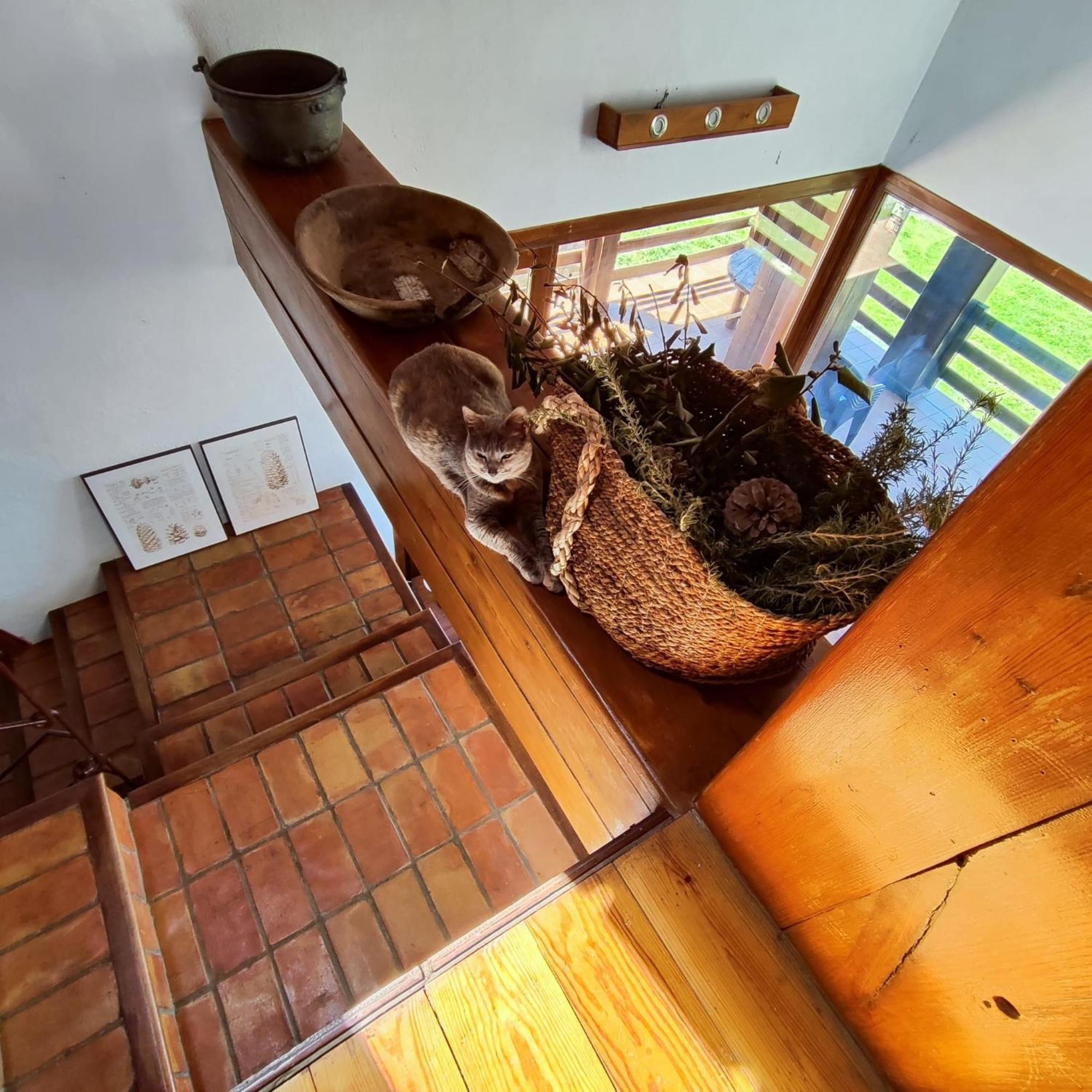Casa rural Refugio Del Aguila 