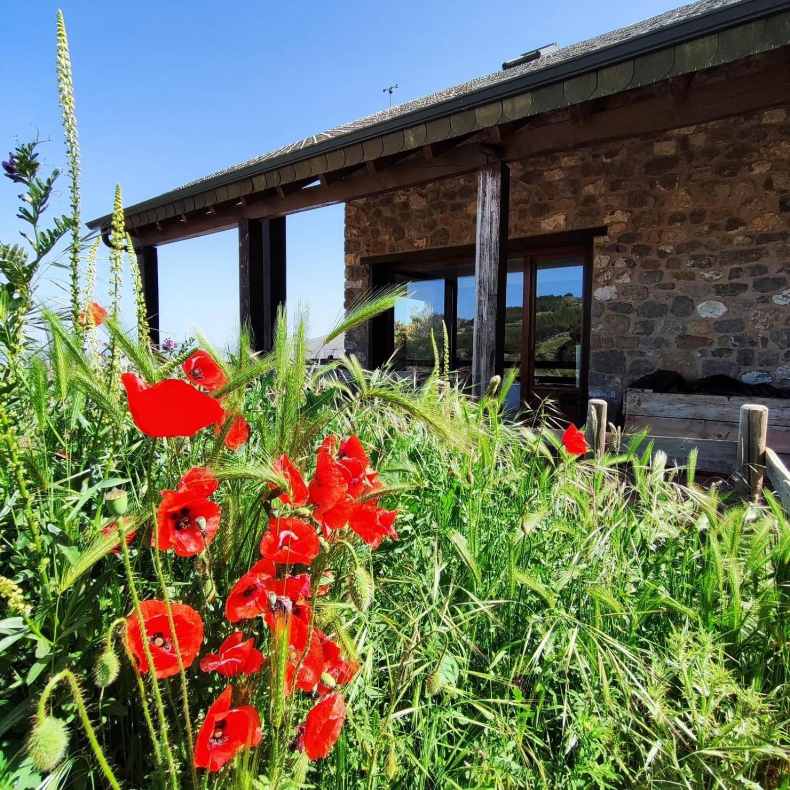 Casa rural Refugio Del Aguila 