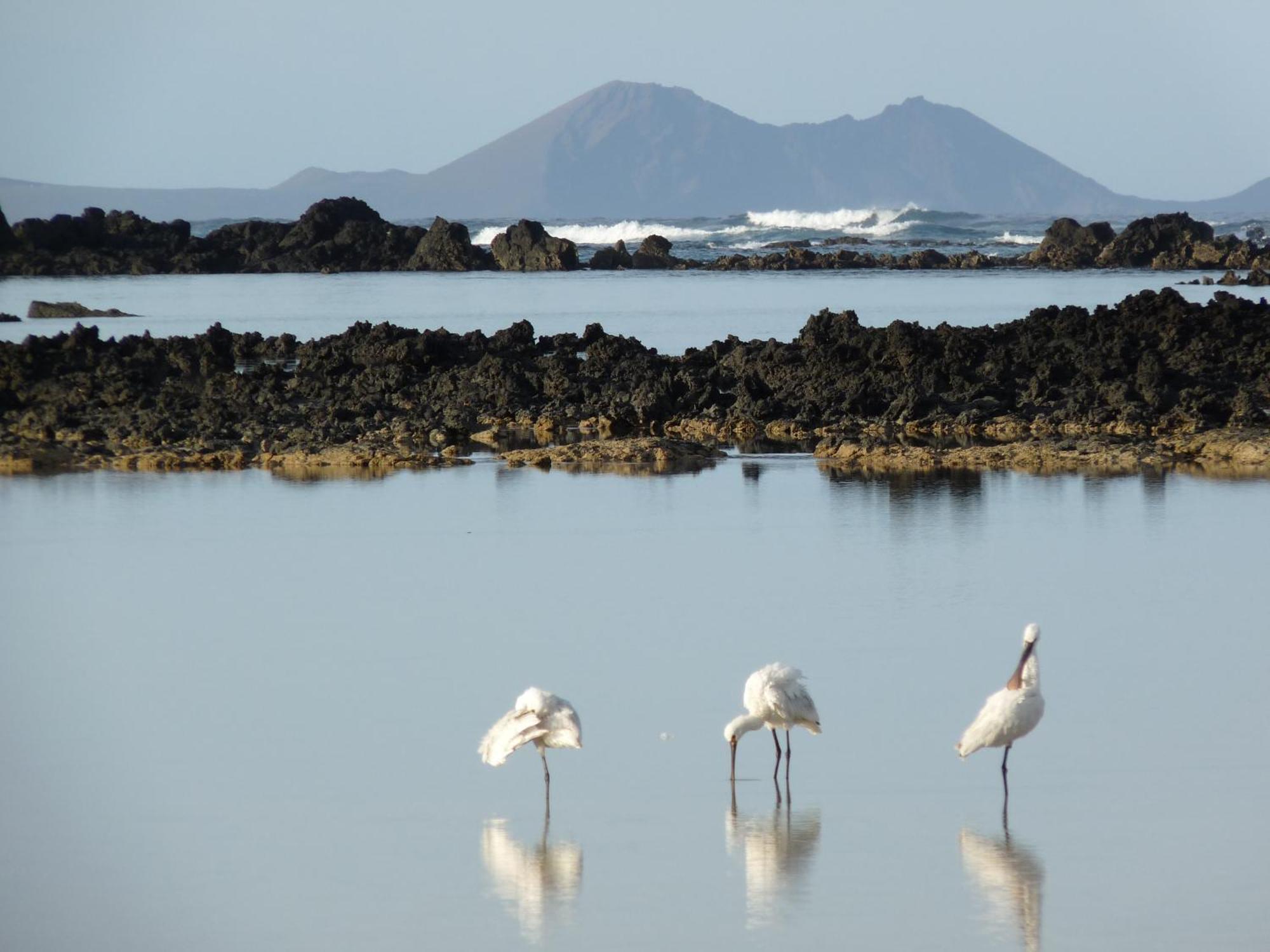 Casa Ana Y El Mar - Enamorados Del Mar - Lanzarote Holiday home Teguise (Lanzarote)