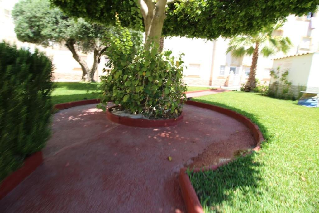Residencial Patricio Zammit Aq-131 Elvira Apartamento *