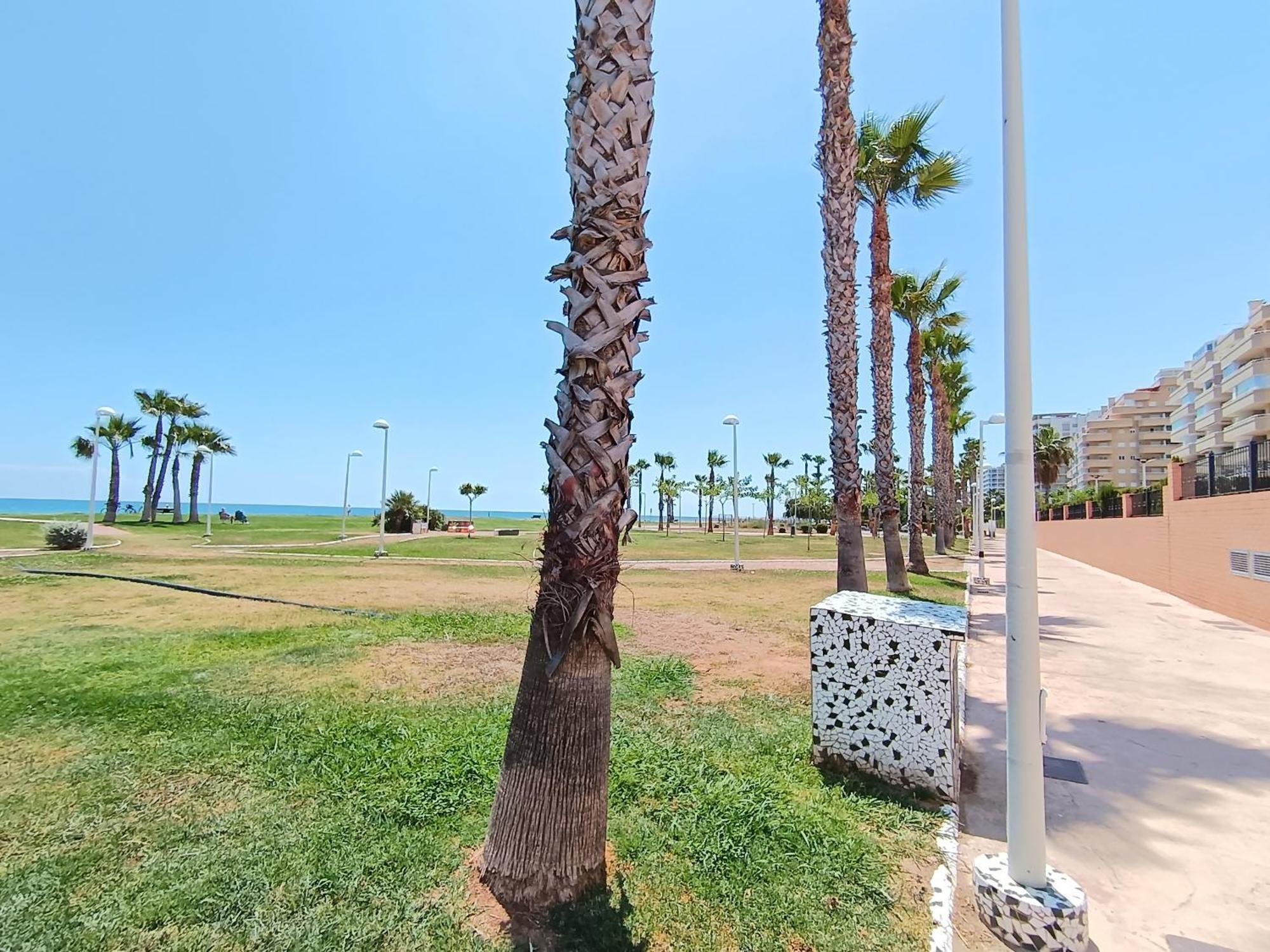 Apartamento Ayf 1ª Linea De Playa Dor *