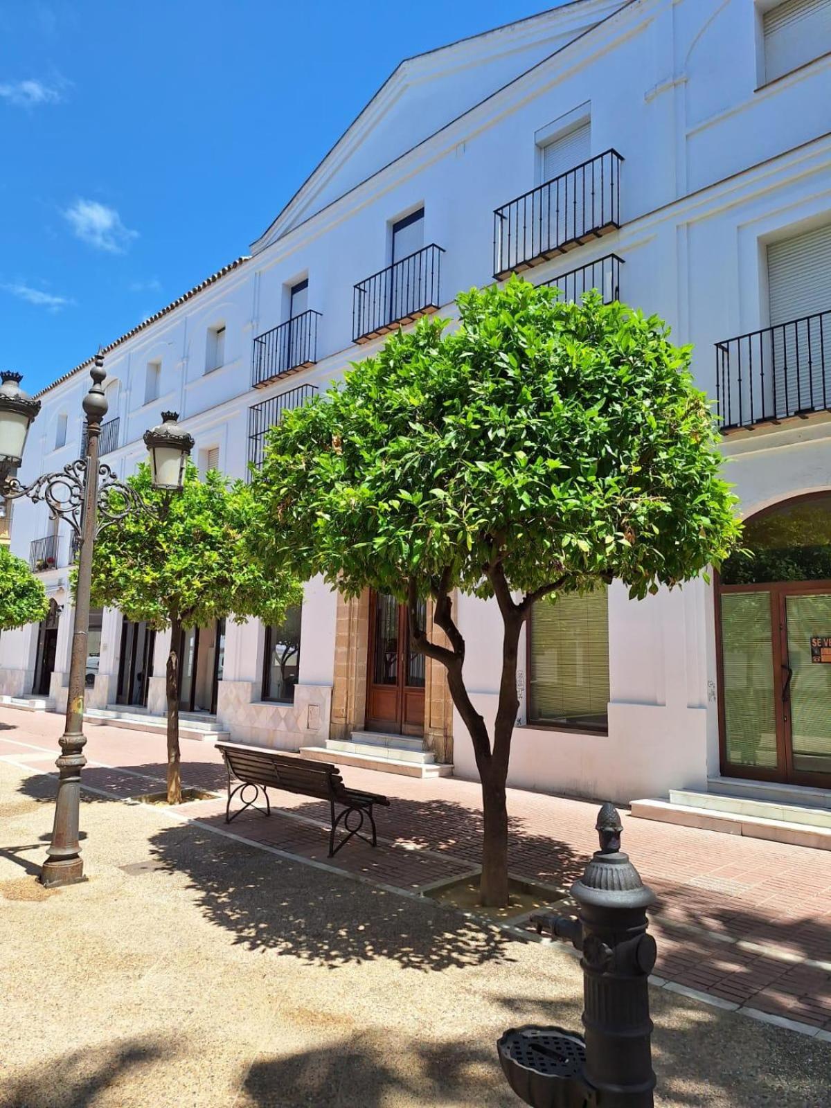 Cabildo Plaza 1 Sanlúcar de Barrameda