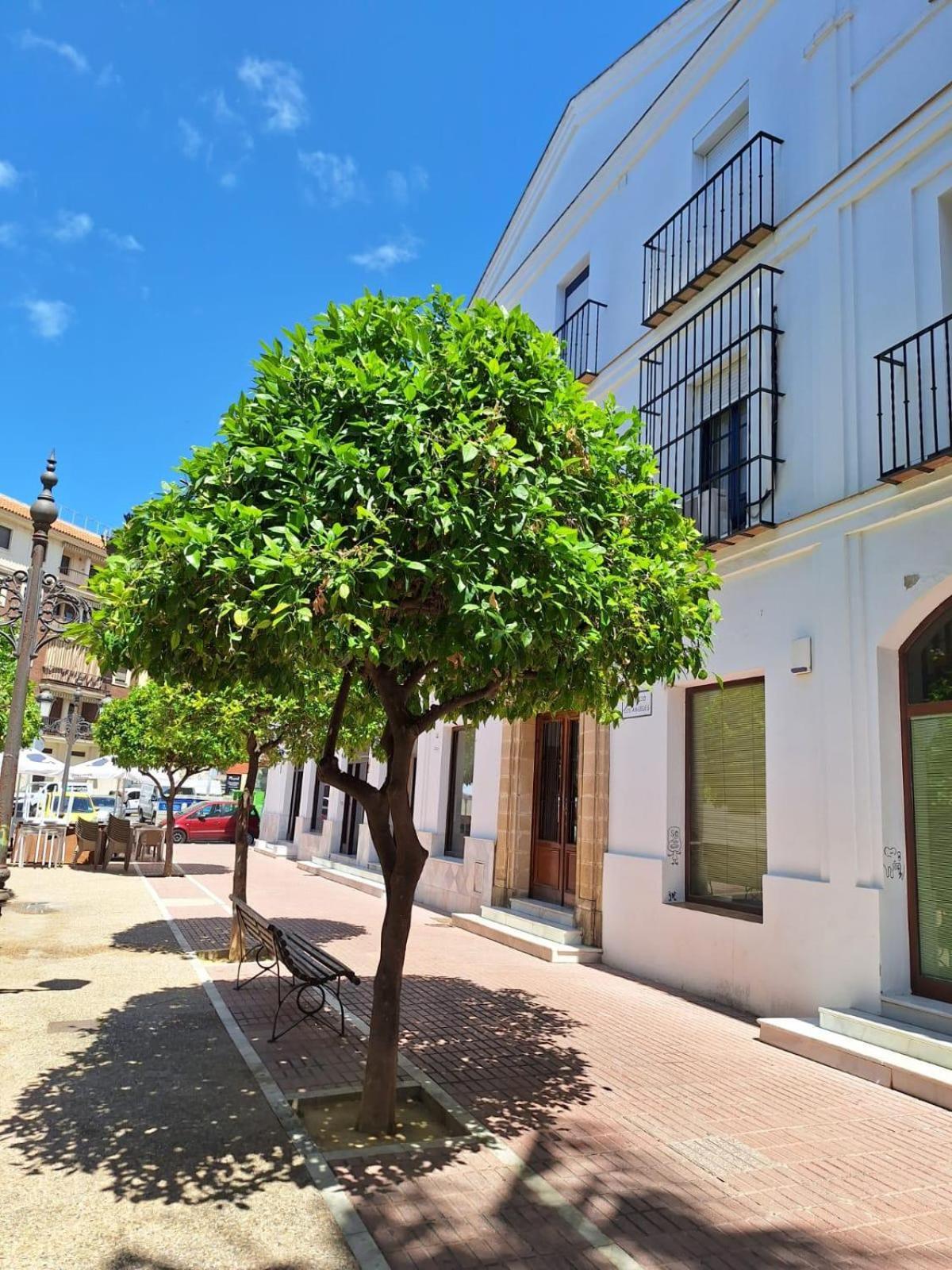 Cabildo Plaza 1 Apartamento