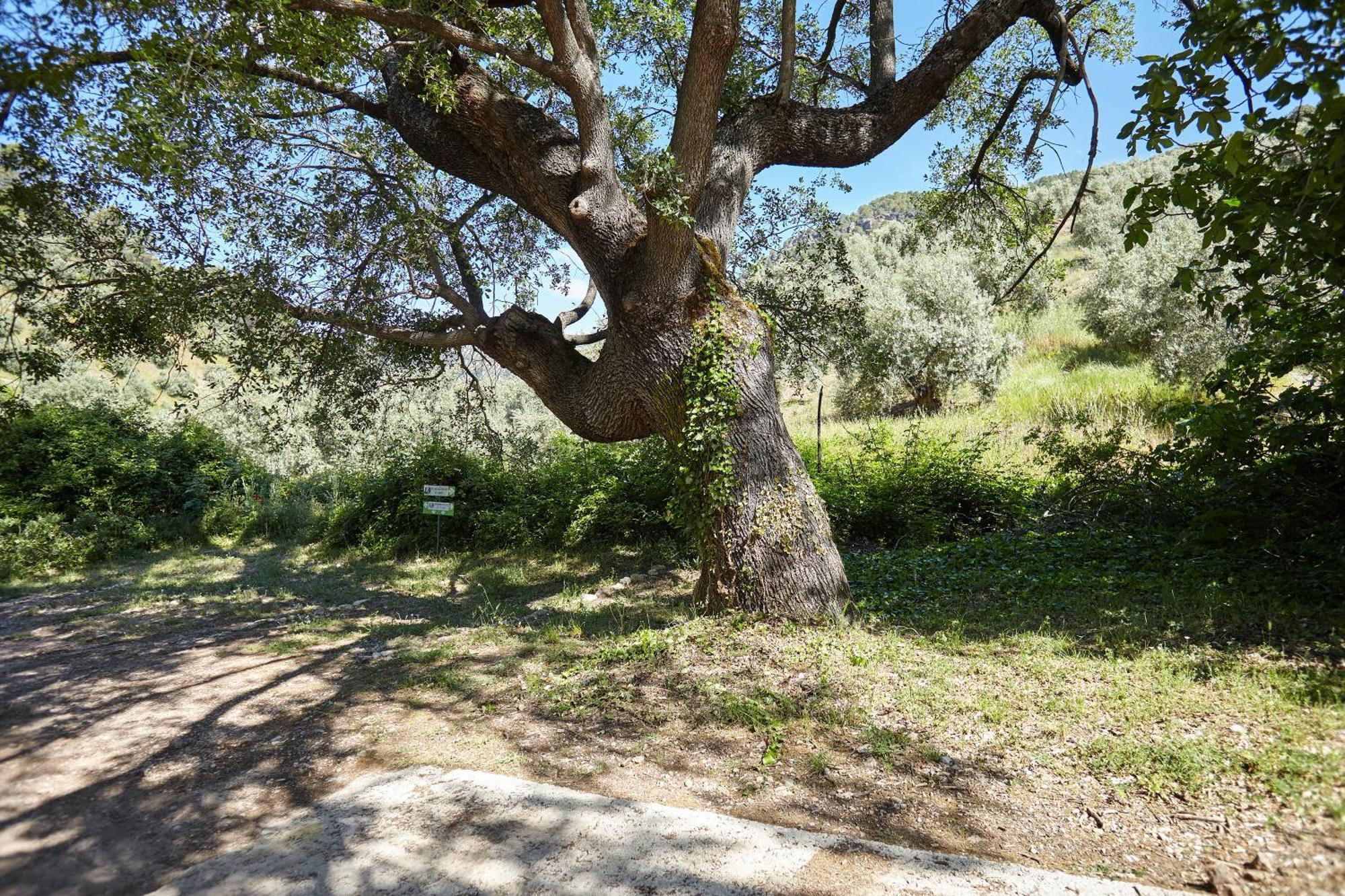 Сasa de vacaciones Cortijo El Soto