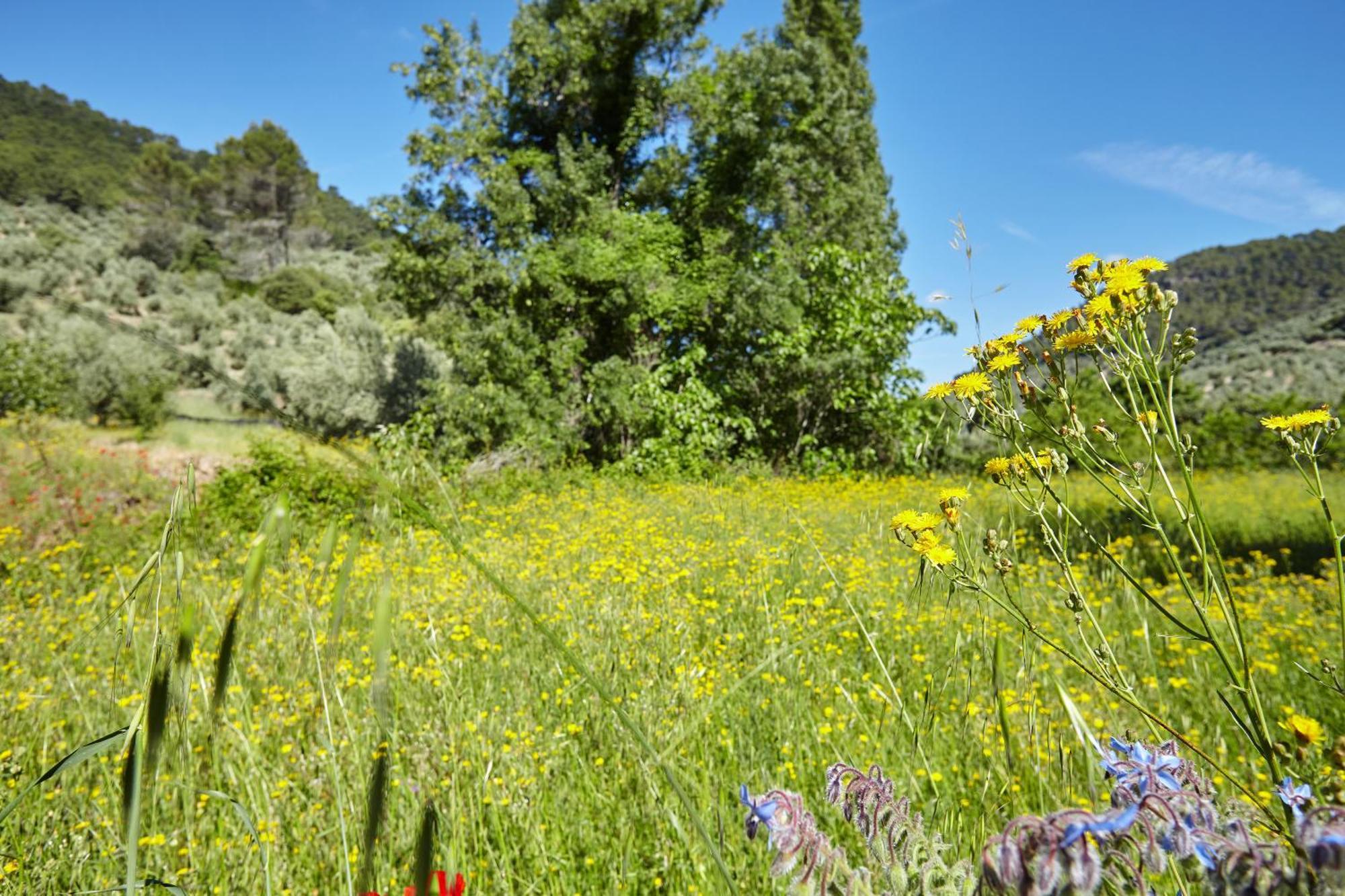Сasa de vacaciones Cortijo El Soto