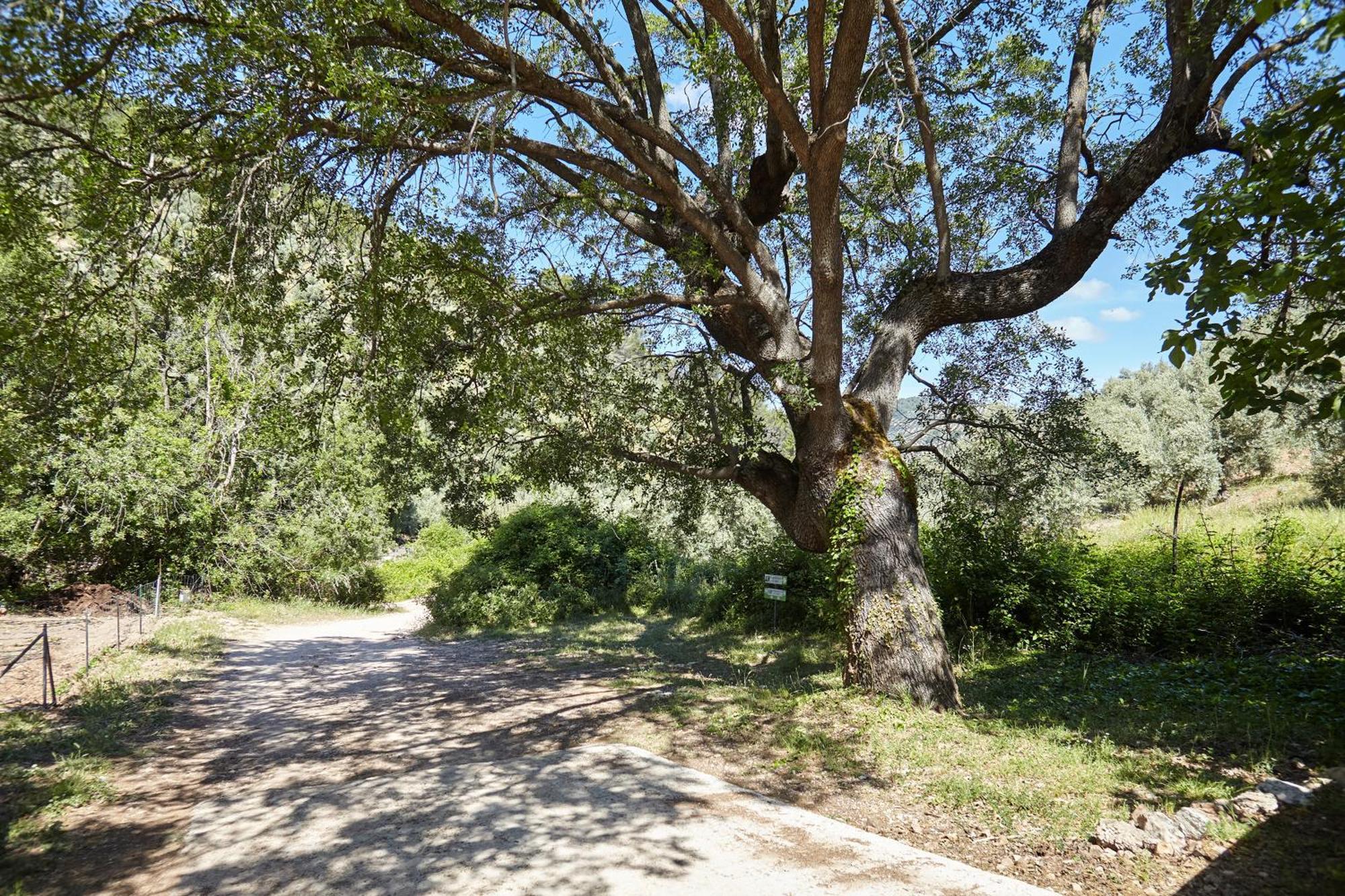 Cortijo El Soto Сasa de vacaciones Beas de Segura